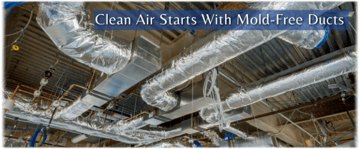 Air Duct Mold Removal in Culver City
