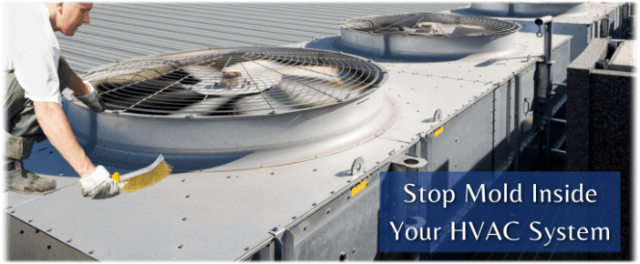 HVAC Mold Removal Culver City